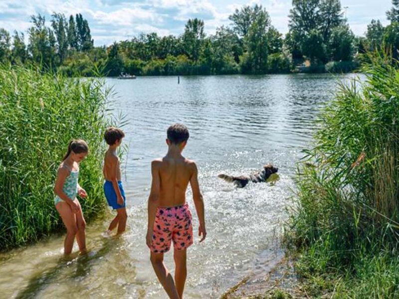 Prevenir la leptospirosis a través de la vacunación de los animales de compañía