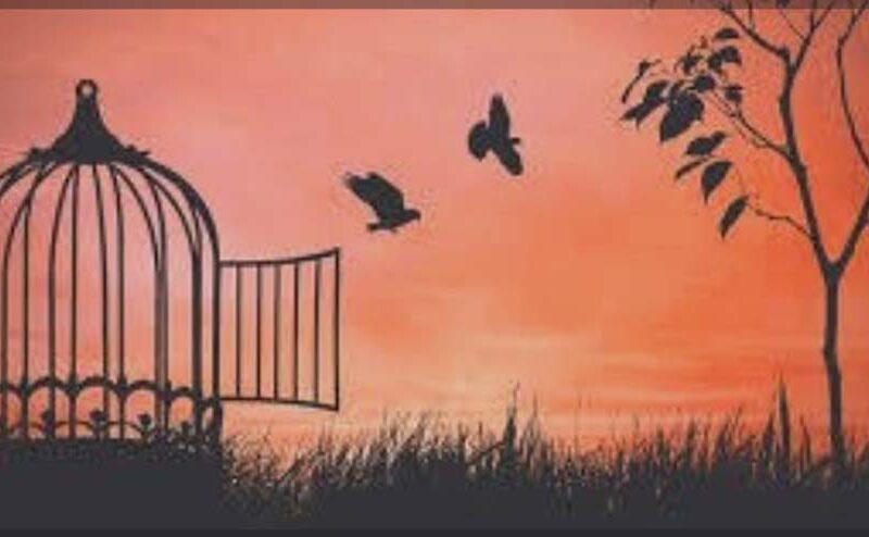 Libres e independientes