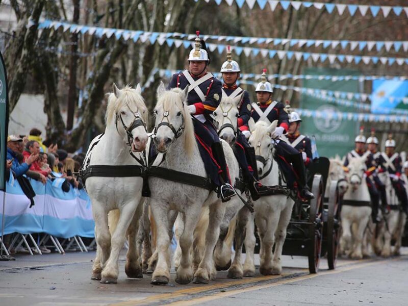 Mas de 20 mil personas participaron del gran desfile cívico militar de San Isidro en homenaje al General San Martín