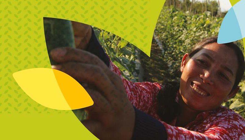 Filantropía estratégica e innovación: fondos rotatorios para el impacto social