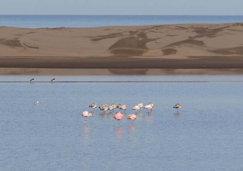 Fin de semana largo con espíritu de fiesta en Tres Arroyos: artesanos, tradiciones y encuentros culturales