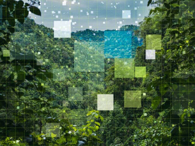 5 lecciones de la naturaleza que están transformando la informática