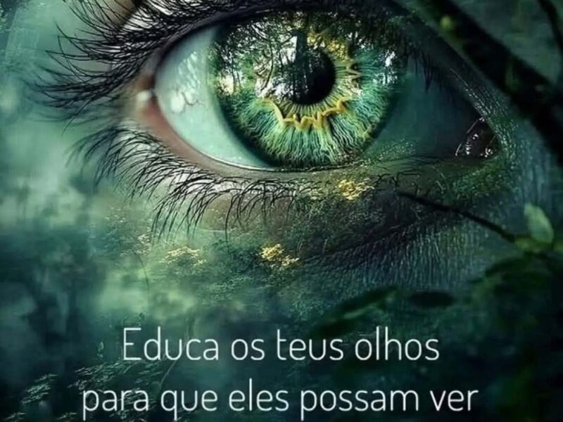 Bom dia!!