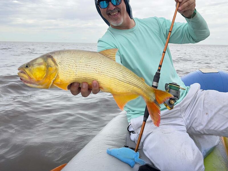 Dorado: el sueño argentino