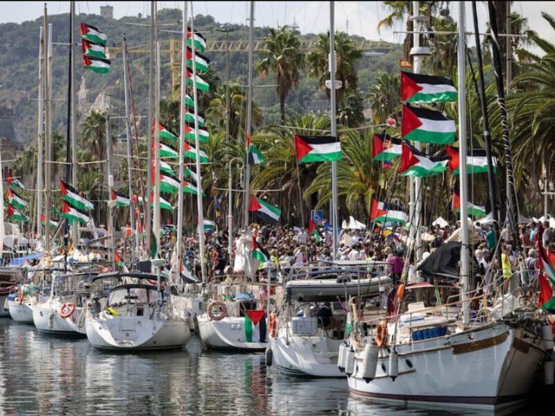 La flotilla