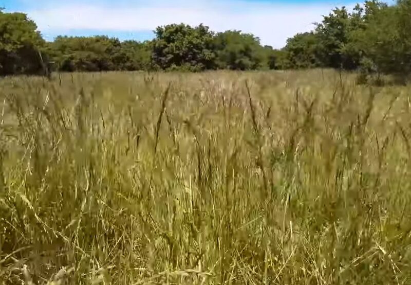 Fundación Vida Silvestre Argentina celebró 10 años de conservación de los pastizales pampeanos en General Lavalle