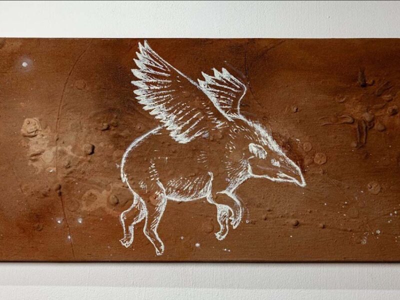 La tierra como elemento principal de la exposición de Andrés Paredes en el Sívori