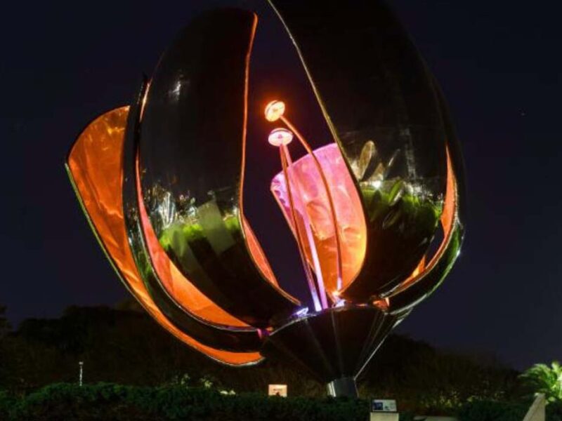 20 años acompañando a pacientes con linfoma