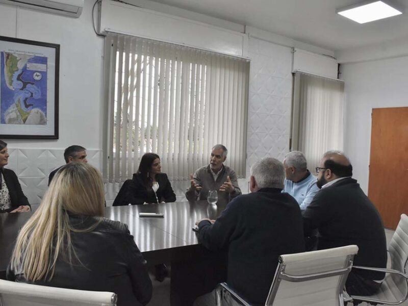 Movistar desplegó Fibra Óptica en Berisso para que 26.000 hogares puedan acceder a internet de alta velocidad