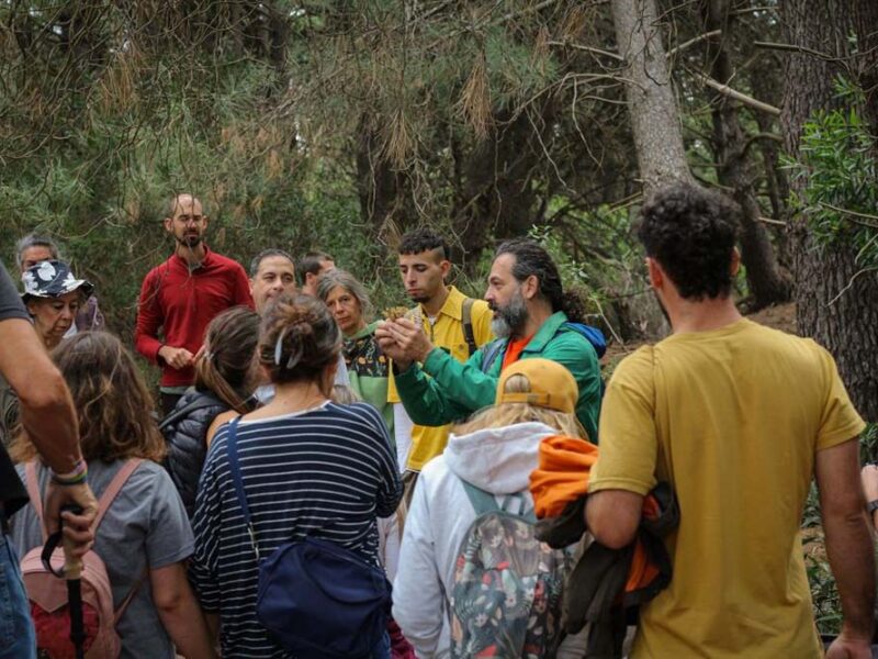Setas, bosque y mar: la trilogía de un destino perfecto