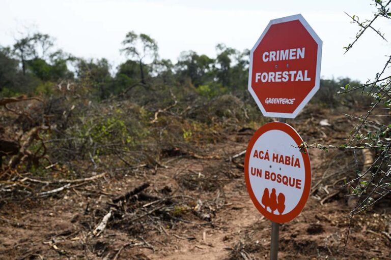 El 80% de los argentinos cree que el gobierno debería hacer más contra la deforestación