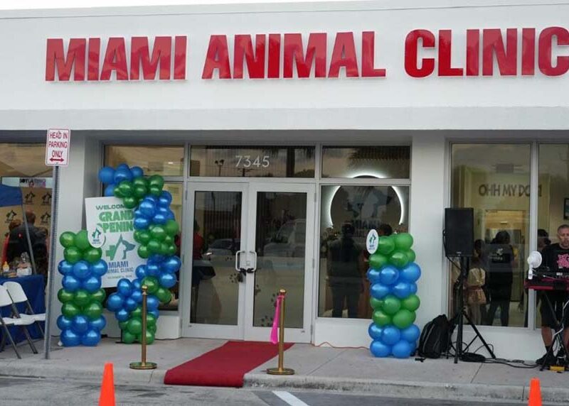 Dra. Mileydi Pérez: La Mujer Que Nació Para Amar, Cuidar Y Sanar A Los Animales, Abre Su Nuevo Local Rodeada De Grandes Celebridades