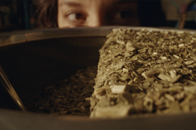 “El efectivo sos vos” la nueva campaña de RAPP Argentina para Rapipago