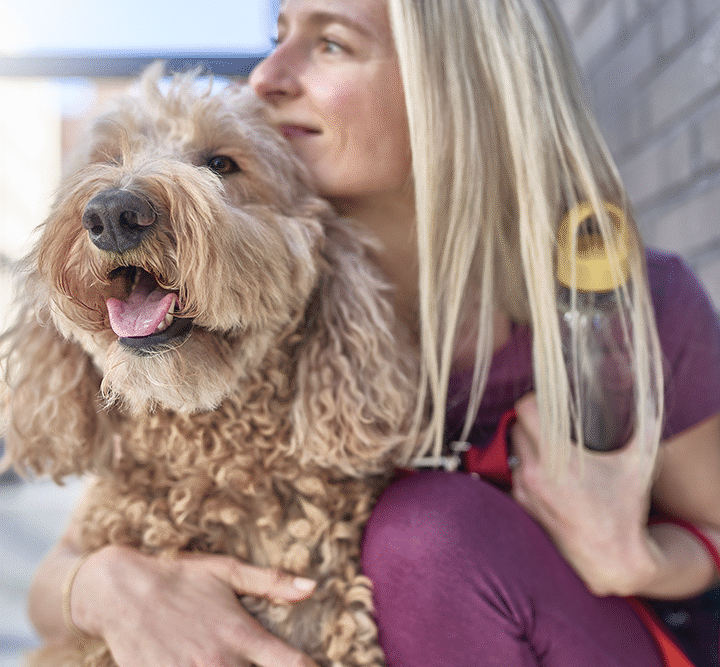 Día del Animal: Compromiso ético y el desafío de una convivencia basada en derechos
