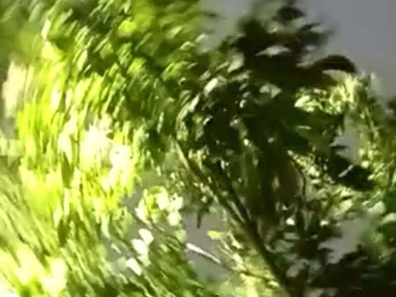 Túnel verde