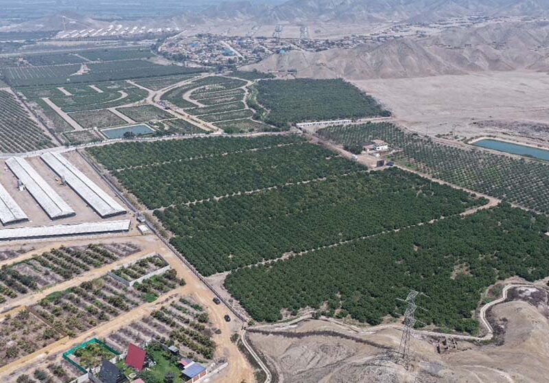 Eficaxx Grupo Inmobiliario entra al norte chico con inversión millonaria en Huaral