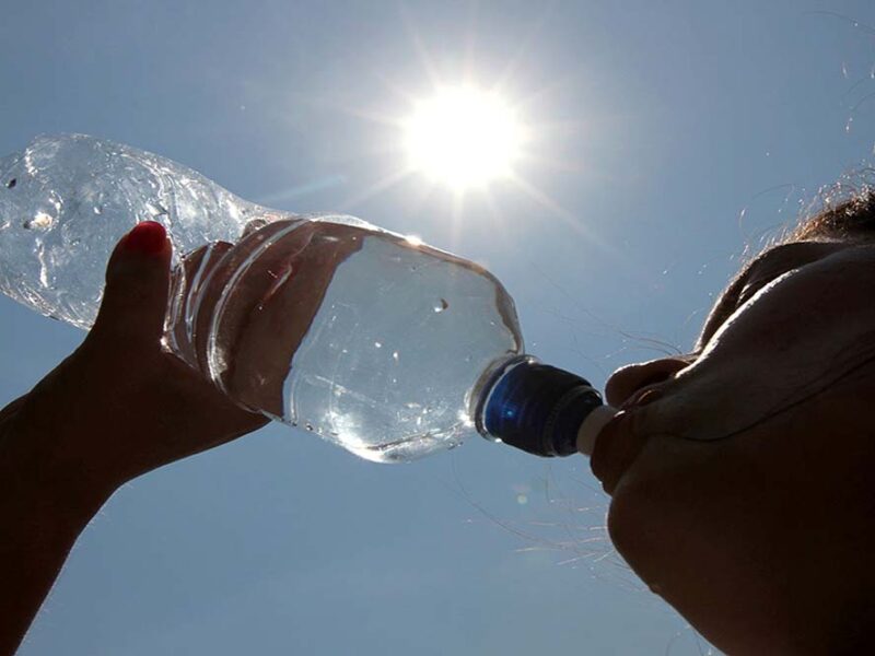 Verano y Cerebro: Cuidar la salud neurológica también es parte de las vacaciones