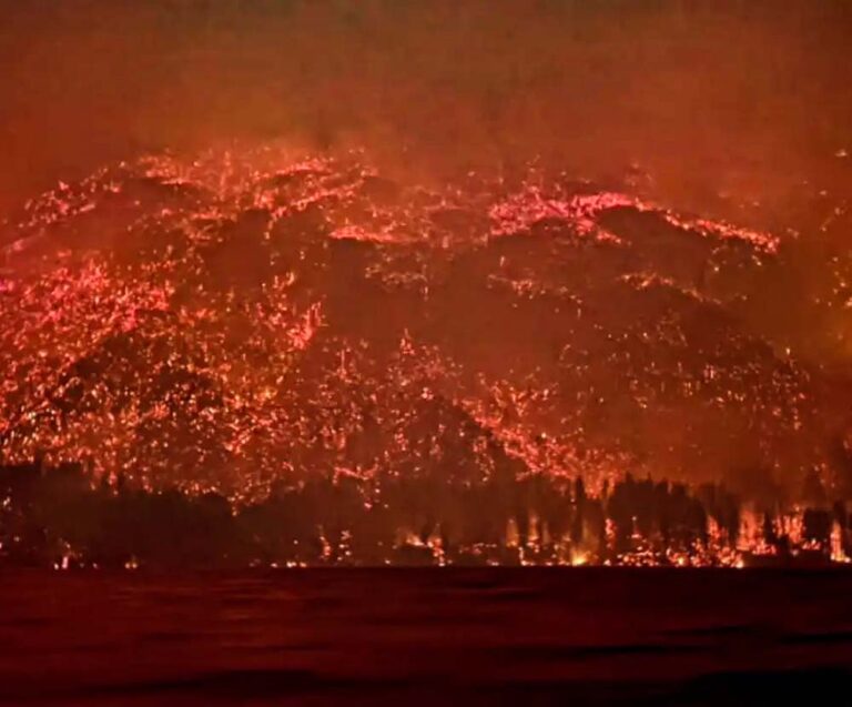 Patagonia en llamas: Greenpeace reclama a los gobiernos acciones firmes para combatir los incendios