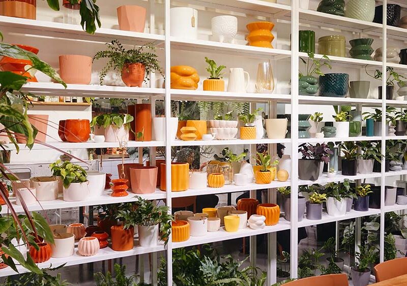La historia de Ada Jardín: el vivero boutique y café de especialidad que convirtió el amor por las plantas en una comunidad