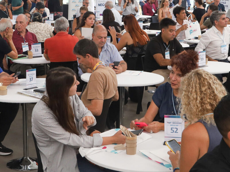 Gran caída del empleo y la capacidad instalada en las industrias de San Martín