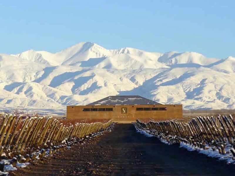 Mendoza seleccionada entre las cinco regiones vitivinícolas más destacadas del mundo