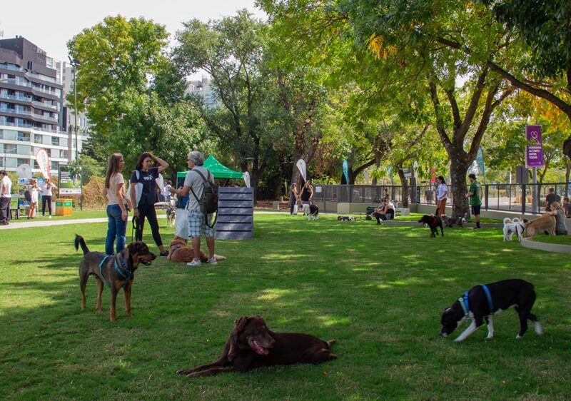 NESTLÉ® Purina® y el Municipio de Vicente López reafirman su compromiso con el bienestar animal