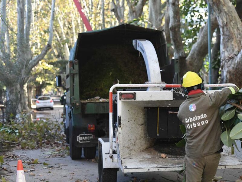 Vicente López: continúa abierta la inscripción al Plan de Poda 2026