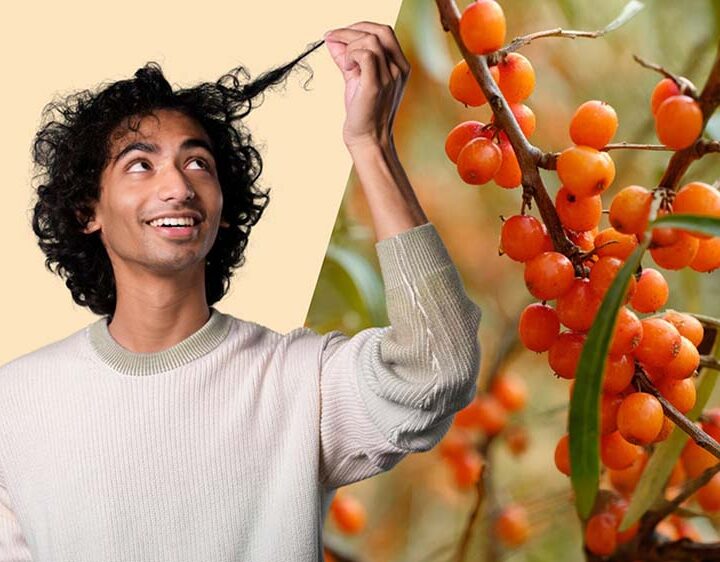 BASF presenta Aloversil™, un ingrediente cosmético natural para el crecimiento capilar