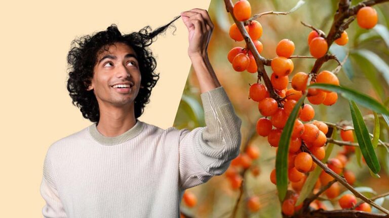 BASF presenta Aloversil™, un ingrediente cosmético natural para el crecimiento capilar