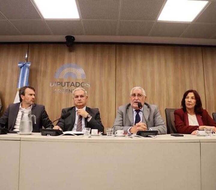 En Diputados, CAME presentó propuestas para aliviar la situación de las pymes