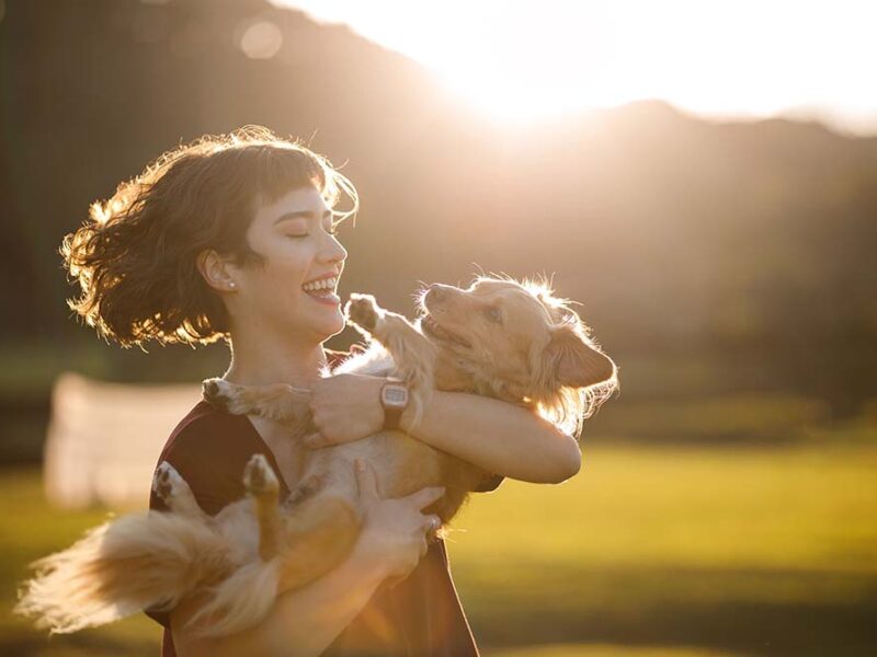 La ciencia confirma el rol clave de los animales para el desarrollo infantil