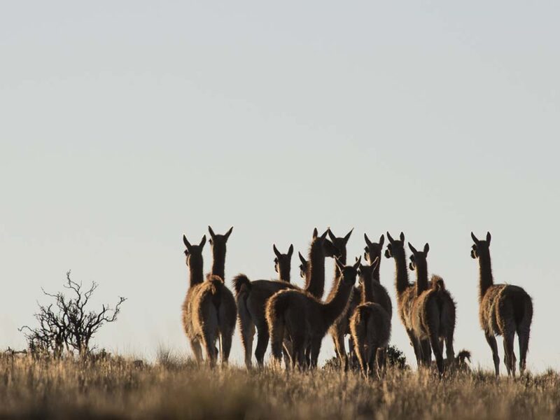 Día de la Tierra: donde nace y se cuida el sabor de la naturaleza
