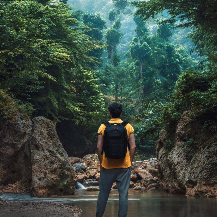 Día de la Tierra 2026: “Nuestro poder, nuestro planeta” marca un enfoque global de acción climática