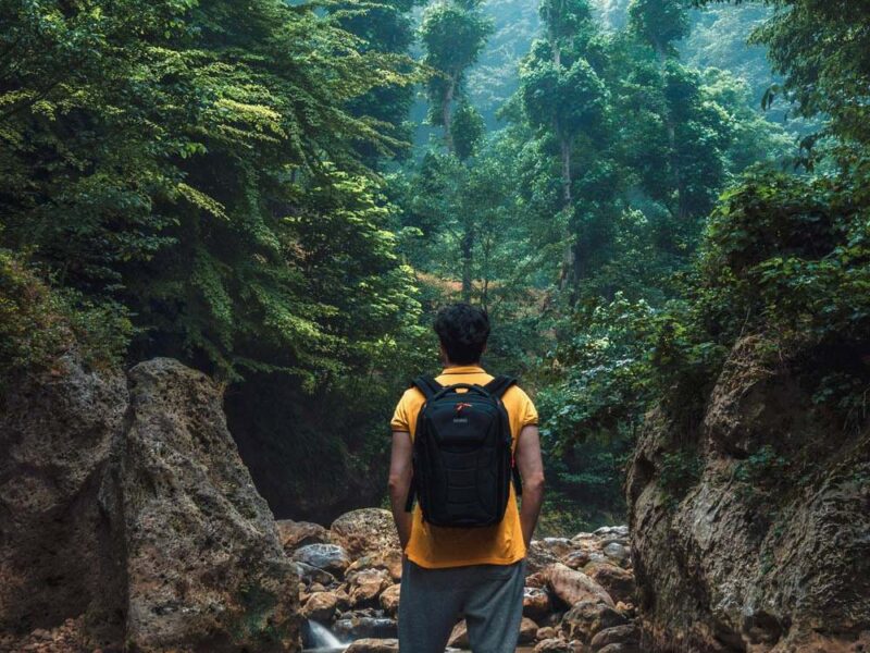 Día de la Tierra 2026: “Nuestro poder, nuestro planeta” marca un enfoque global de acción climática