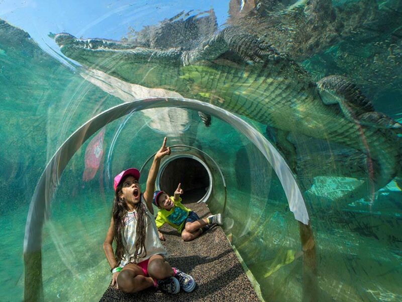 Explore Miami: el programa para descubrir Miami con beneficios exclusivos