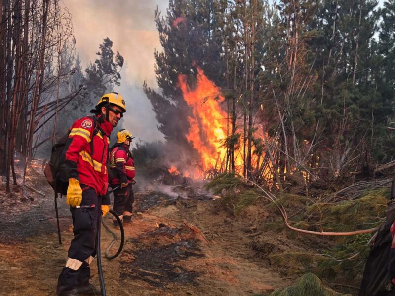 Naranja X se une a Fundación Vida Silvestre Argentina para prevenir incendios en la Patagonia