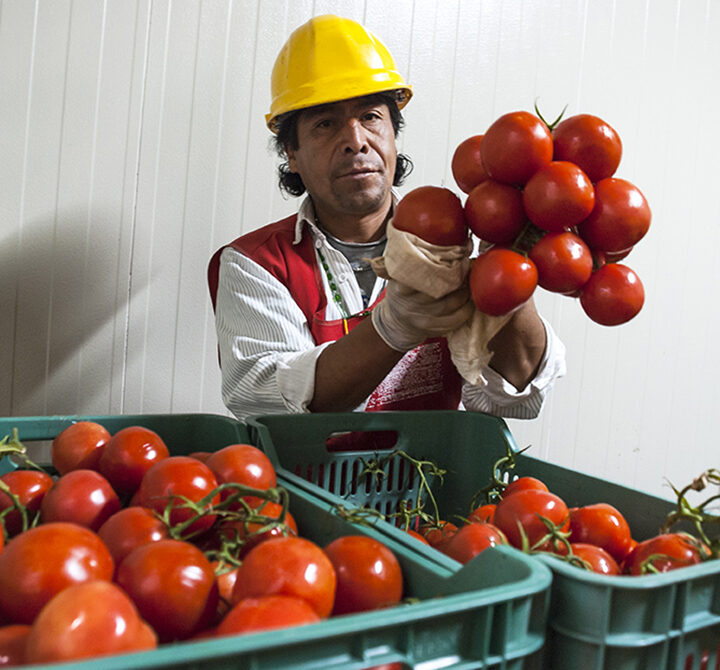 Red BAMX consolida el modelo alimentario más robusto de México y proyecta alcanzar 5 millones de personas beneficiarias para 2028