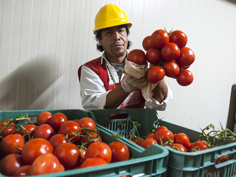 Red BAMX consolida el modelo alimentario más robusto de México y proyecta alcanzar 5 millones de personas beneficiarias para 2028