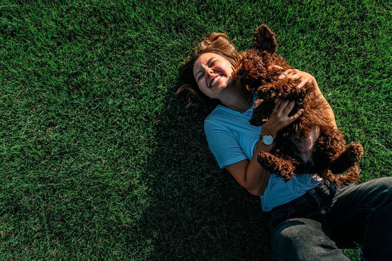 La ciencia comprueba que un envejecimiento saludable para las mascotas es posible, si los tutores actúan a tiempo