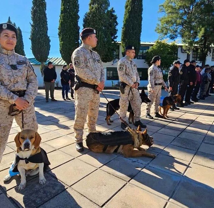 San Luis formó a sus primeros guías caninos