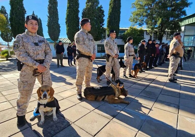San Luis formó a sus primeros guías caninos