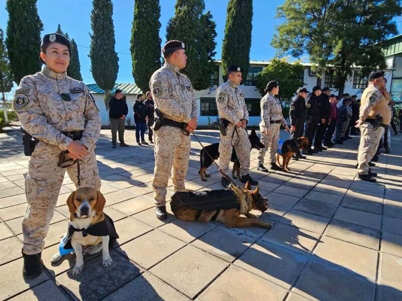 San Luis formó a sus primeros guías caninos