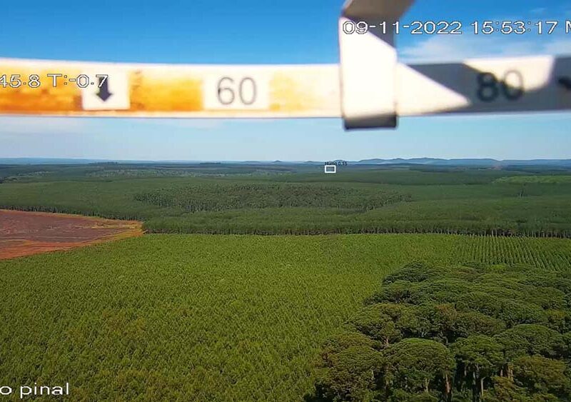 Emprendedores latinoamericanos de 22 años recaudan US$2.7 millones para combatir incendios forestales con IA que detecta focos antes que la NASA