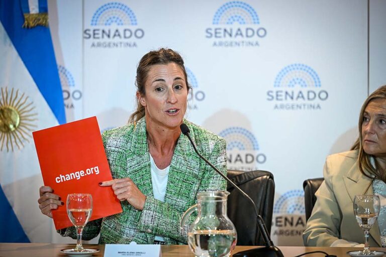 El Senado fue escenario de un urgente llamado a proteger la salud mental infantil frente al impacto digital