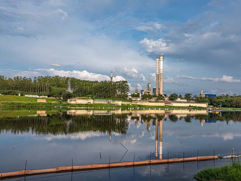 Stenfar ahora es Suzano Argentina: la compañia unifica su marca y refuerza su apuesta por el mercado local