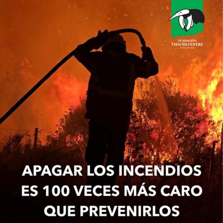 Prevenir hoy para no lamentar mañana: Fundación Vida Silvestre lanza una campaña para fortalecer la prevención de incendios forestales en Chubut