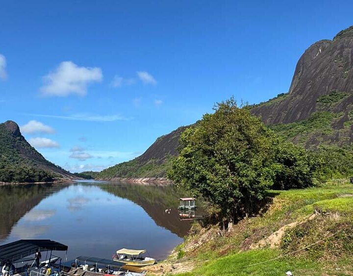 Los árboles: la infraestructura natural clave para mitigar riesgos climáticos