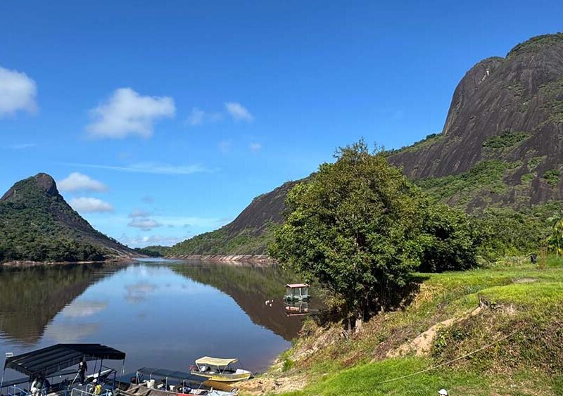 Los árboles: la infraestructura natural clave para mitigar riesgos climáticos