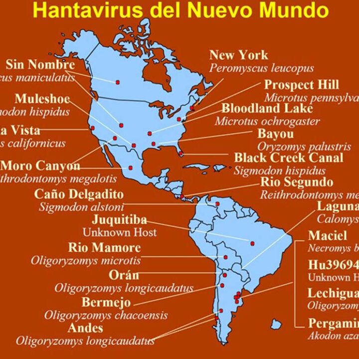 Hantavirus: síntesis clínica y epidemiológica