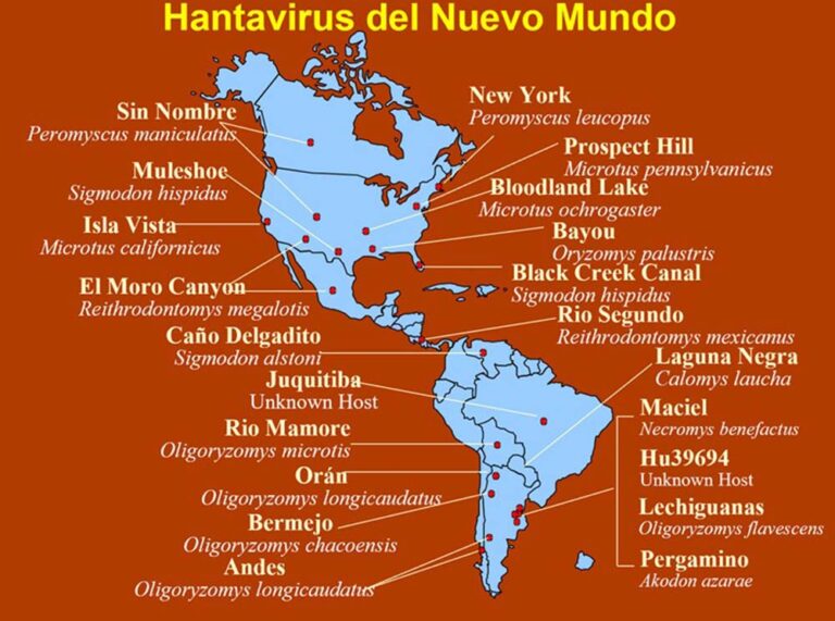 Hantavirus: síntesis clínica y epidemiológica